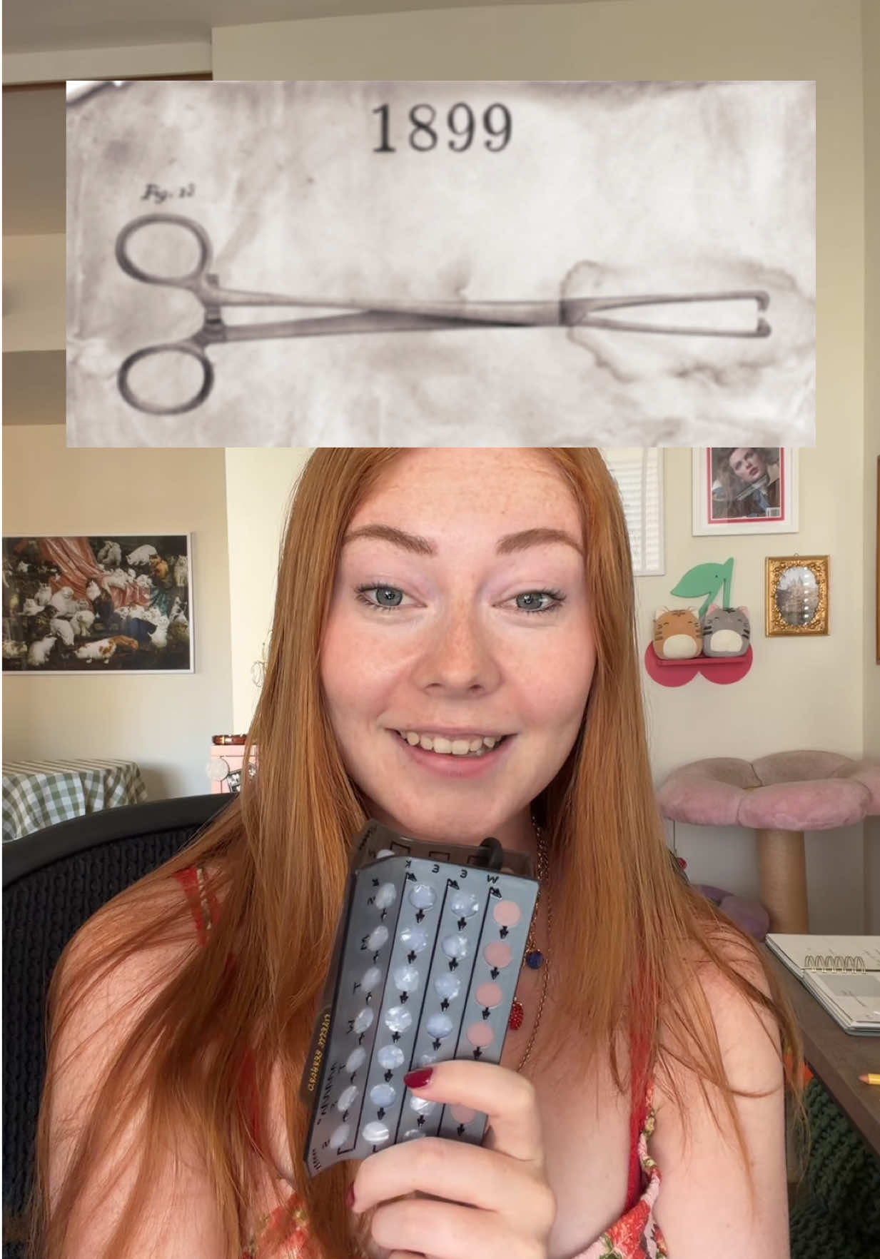 @Abigail P (Girl With The List)