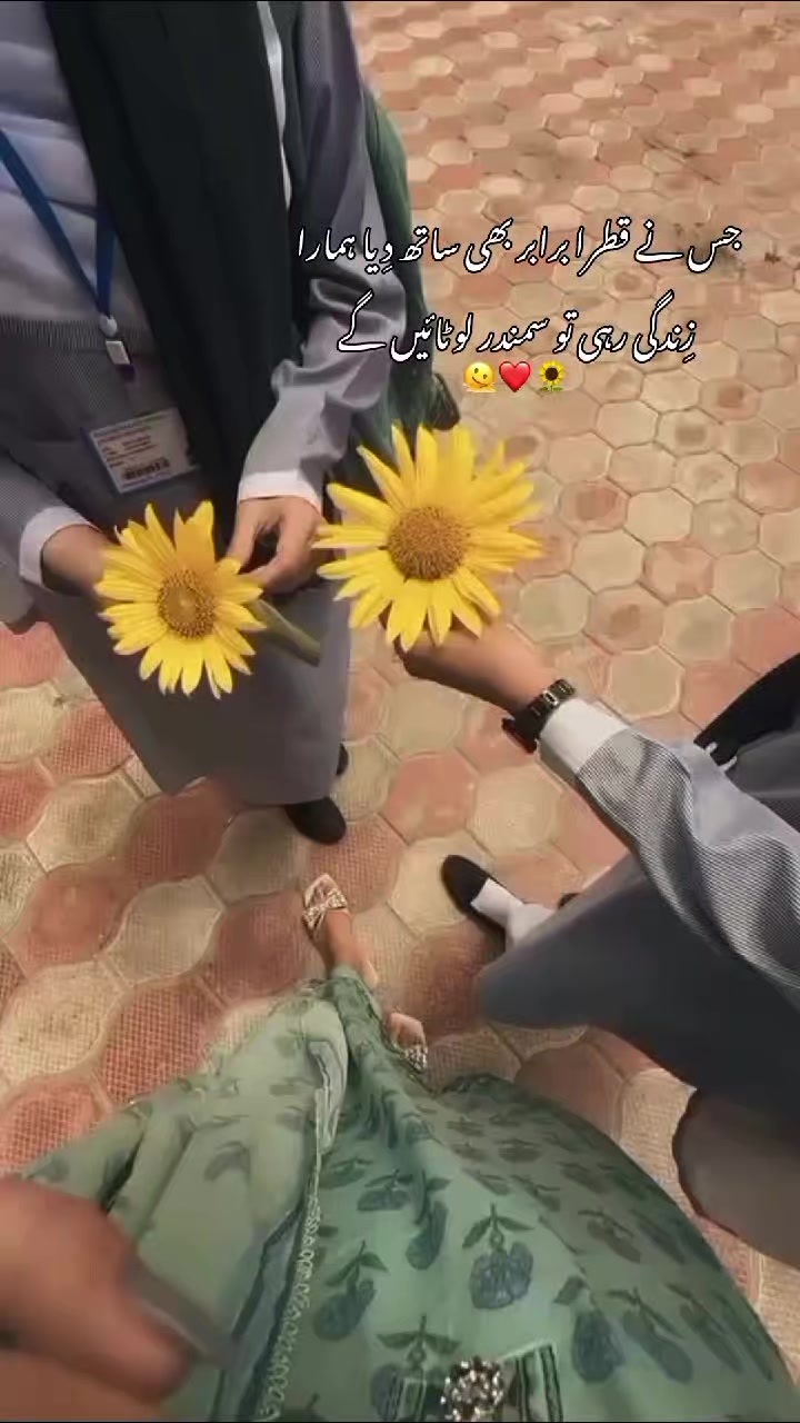 @ᥫ᭡𝗔𝗟𝗠𝗜𝗡𝗜ᥫ᭡