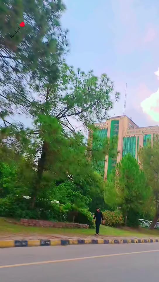 @جنگلی بلی 😺