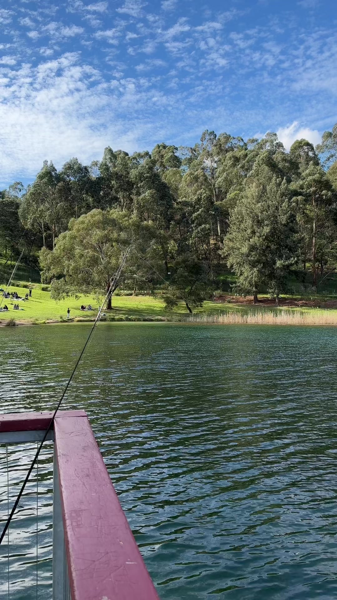 @Australia From My Lens