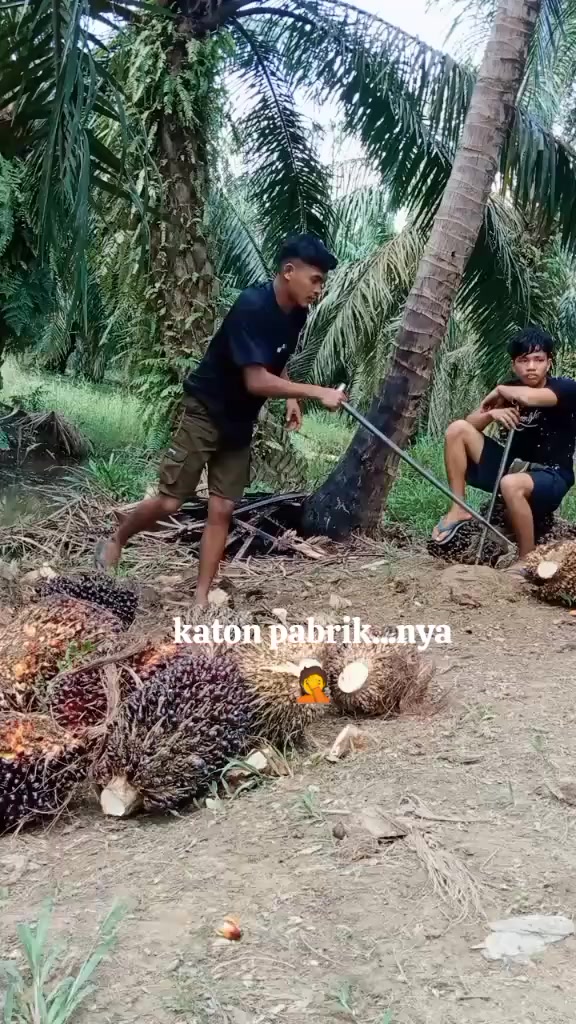@Hendri Pardede