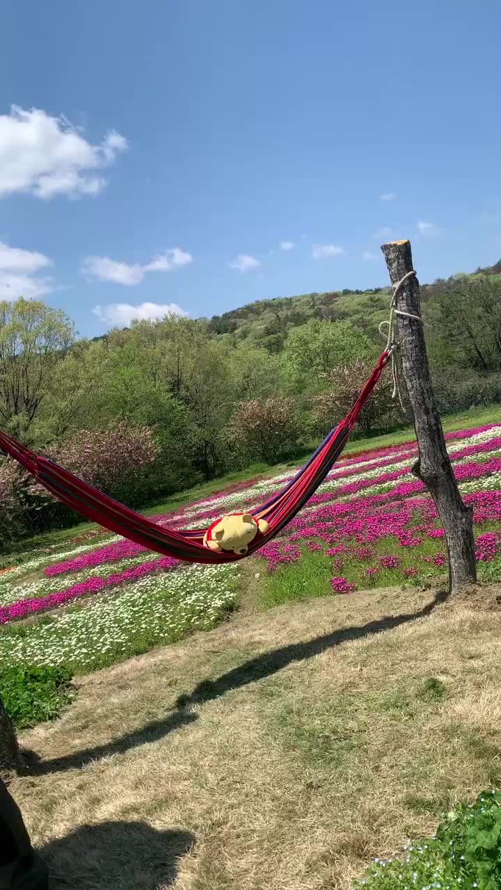 @愛傑夏