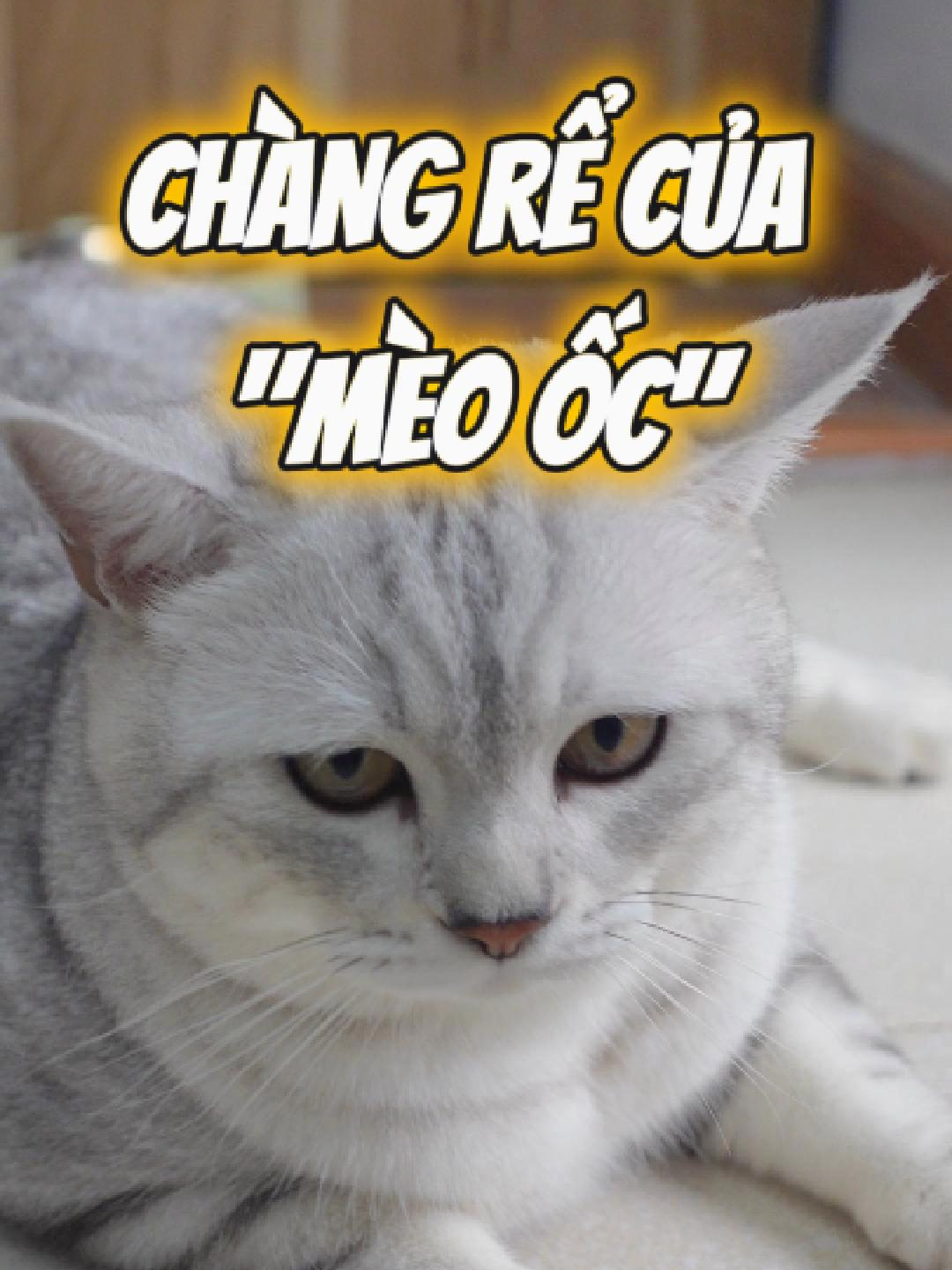 @Ốc V&agrave; Con