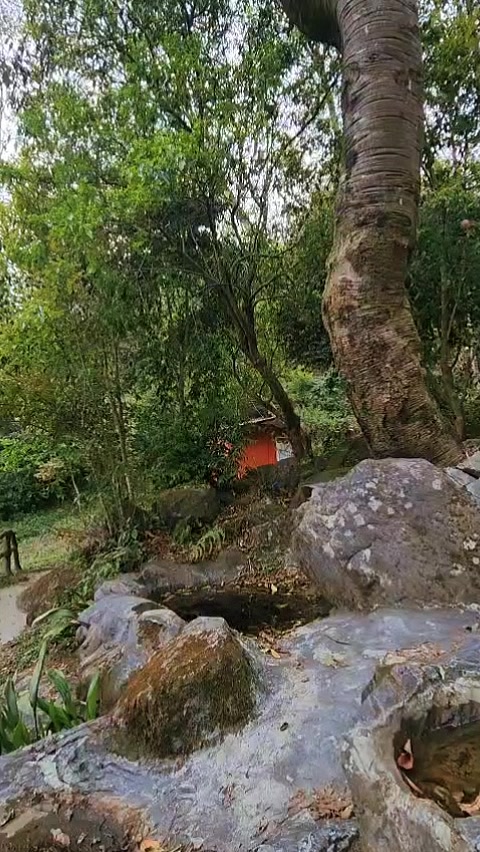 @sumit 🕉🔱🧿✨️⚛️