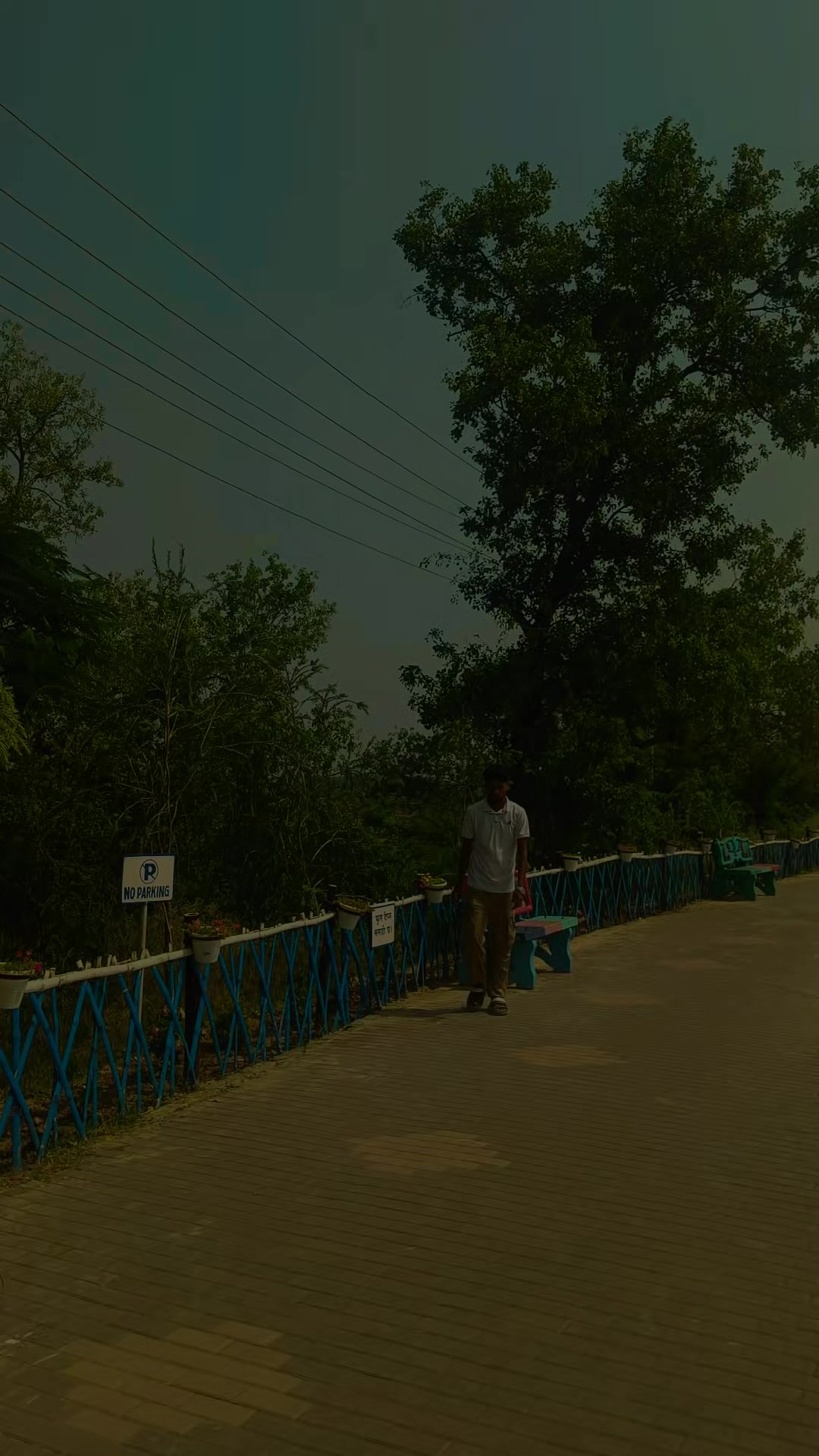 @अजय यादव