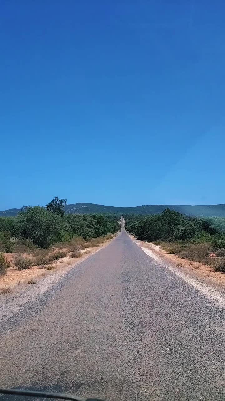 @بيشو 🚷 Bichou