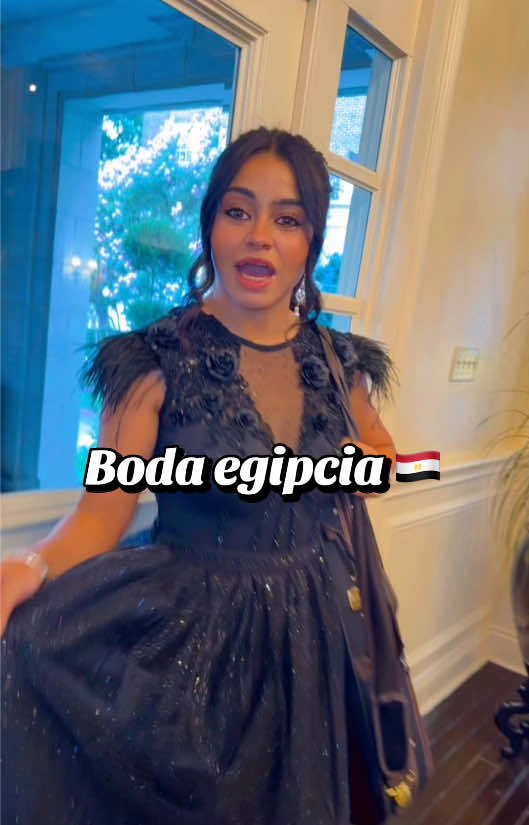 @sofialopezviolinist
