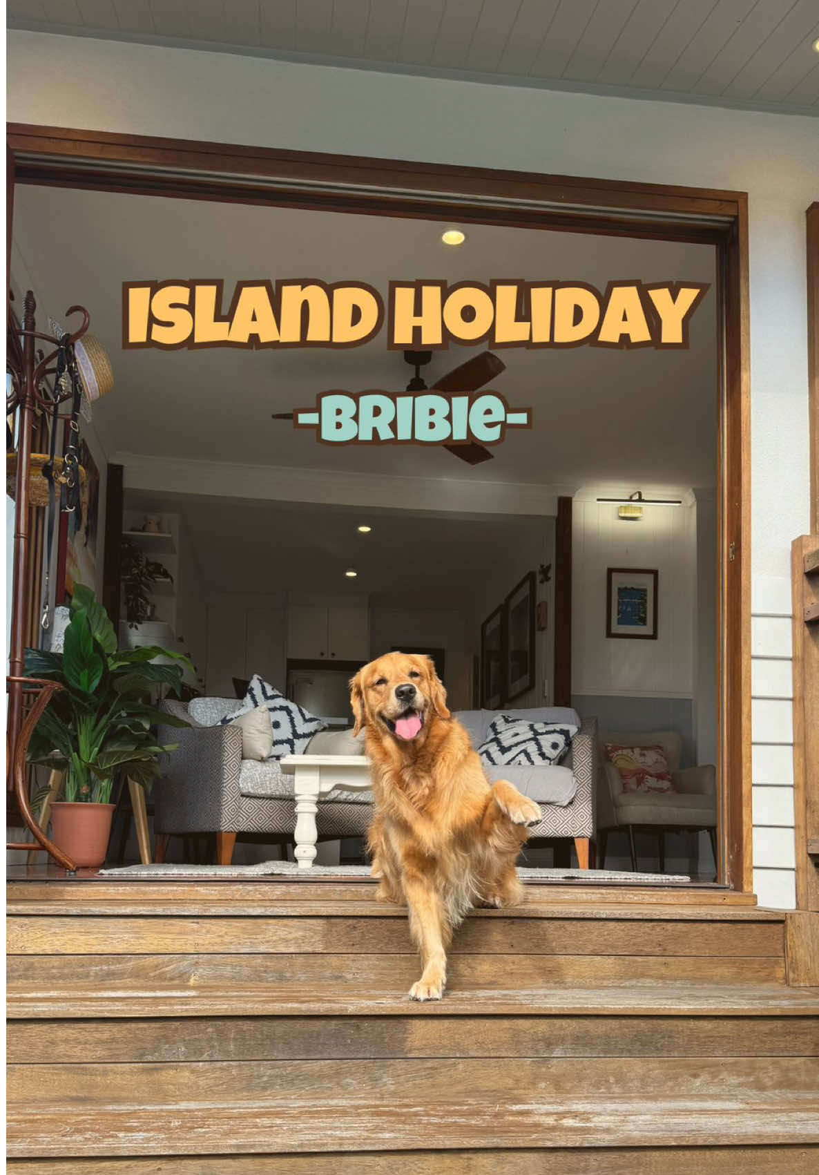 @Brisbane Dog Friendly