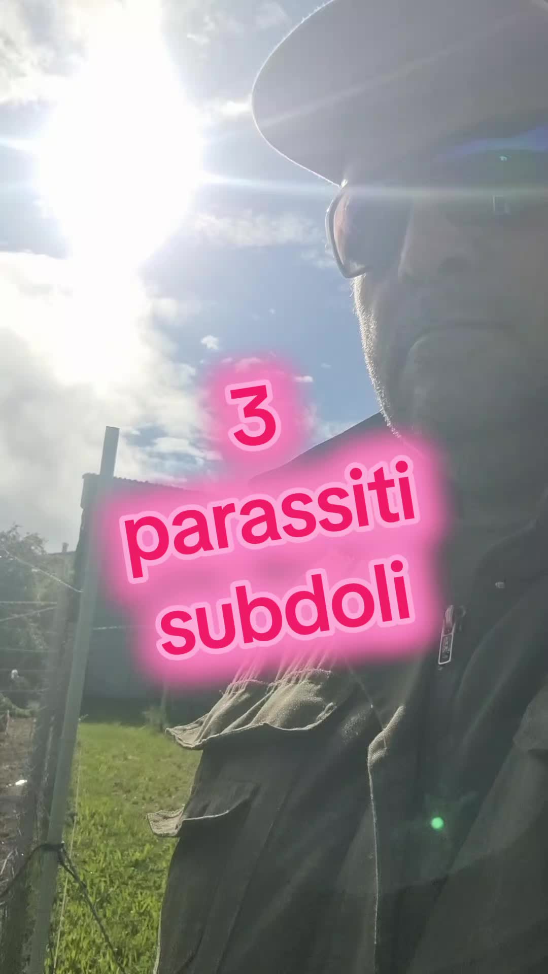 @Il leone e la gallina