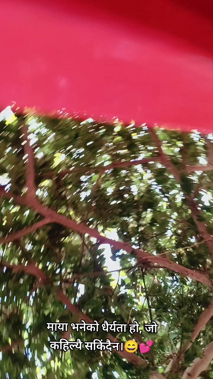 @Sangita Sah
