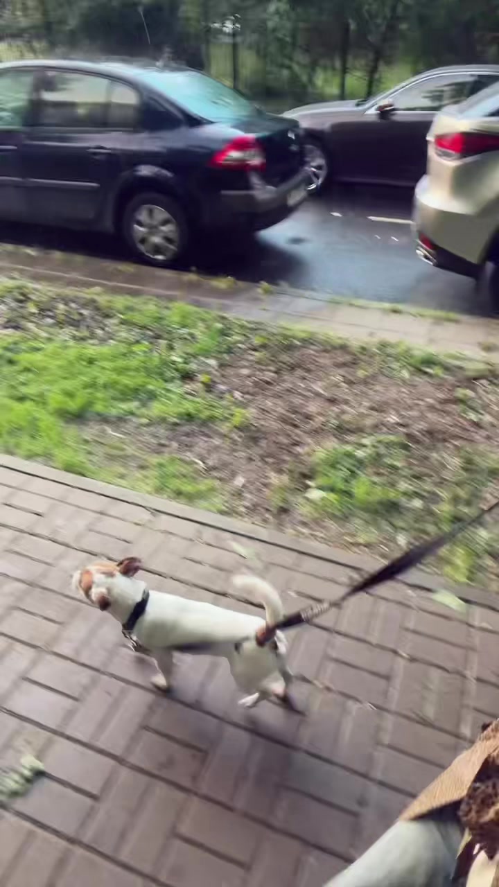 @ддэшка