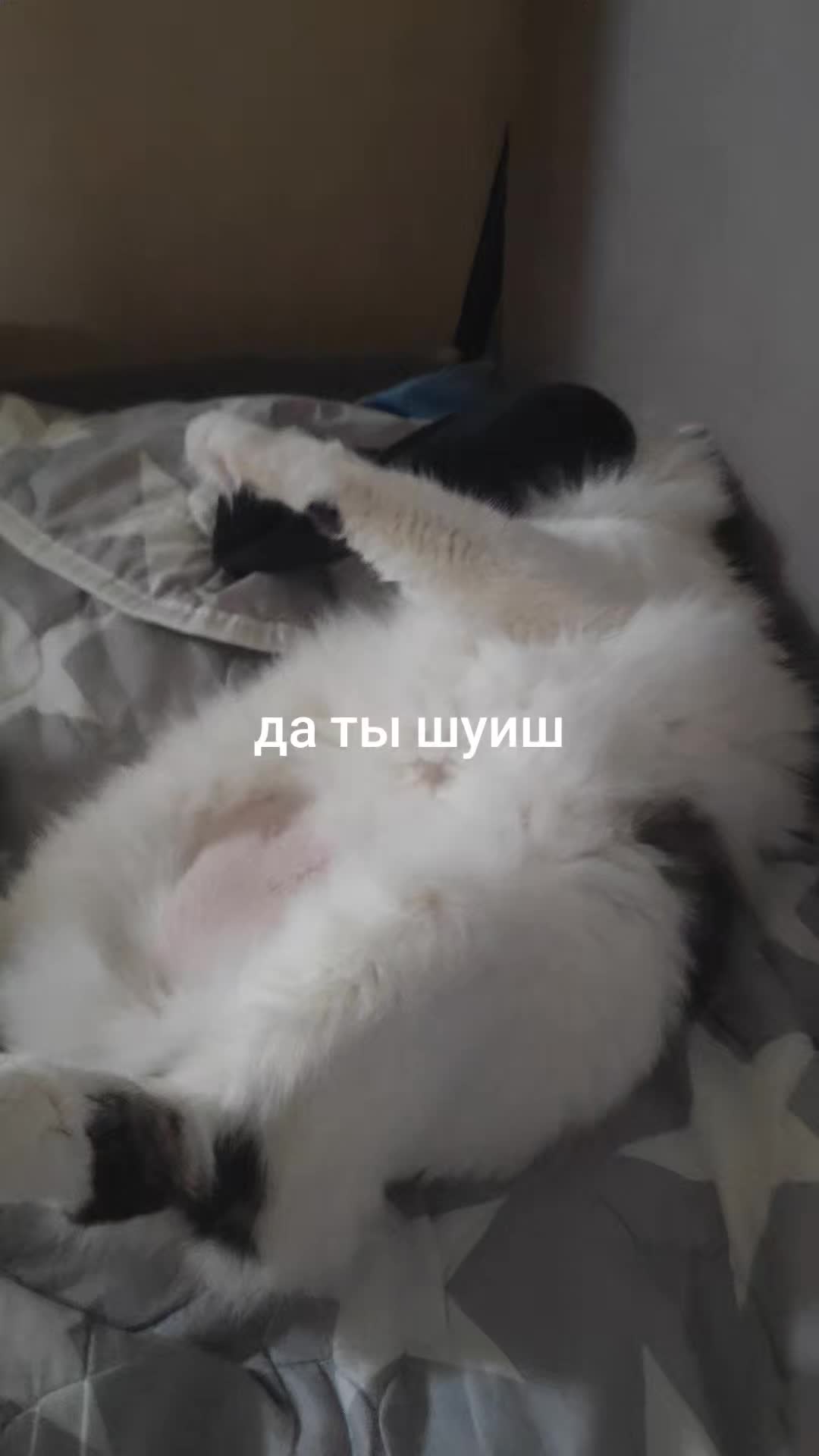 @косен самый крутой великий про