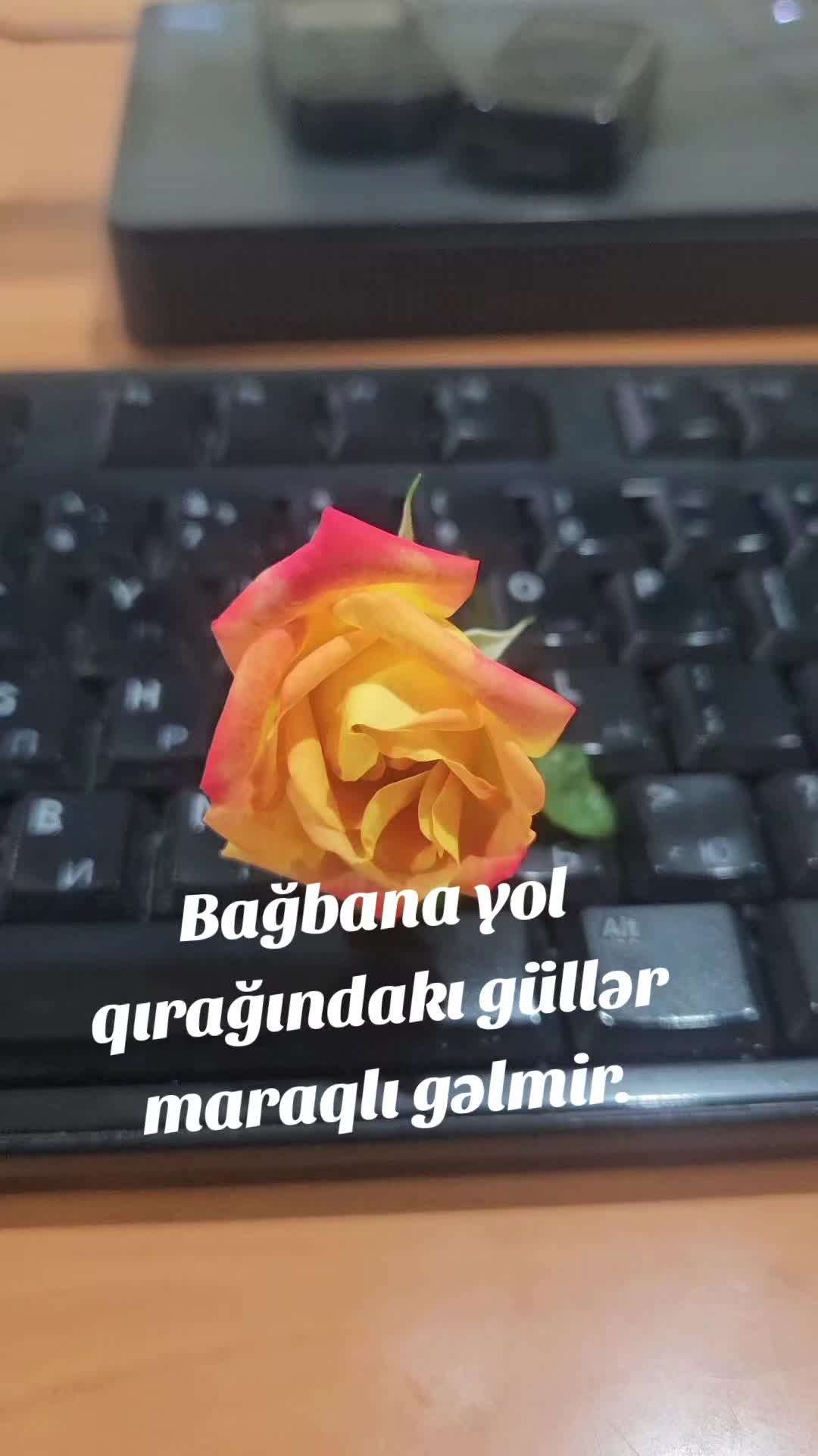 @Inspector.85