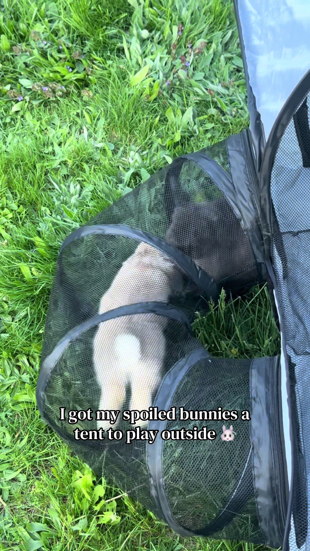 @julesandbuns