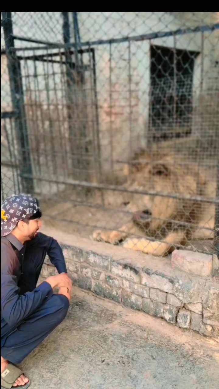@🐊ڈی کے خان🖇