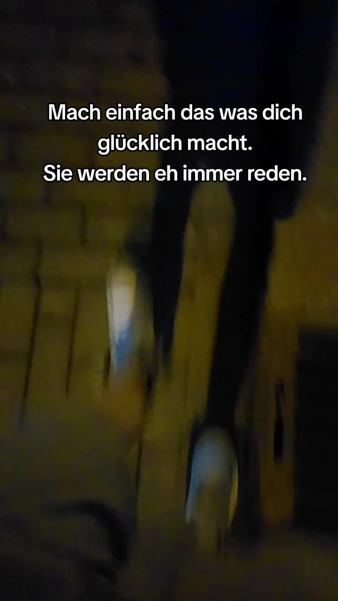 @kevin🍋🇩🇪
