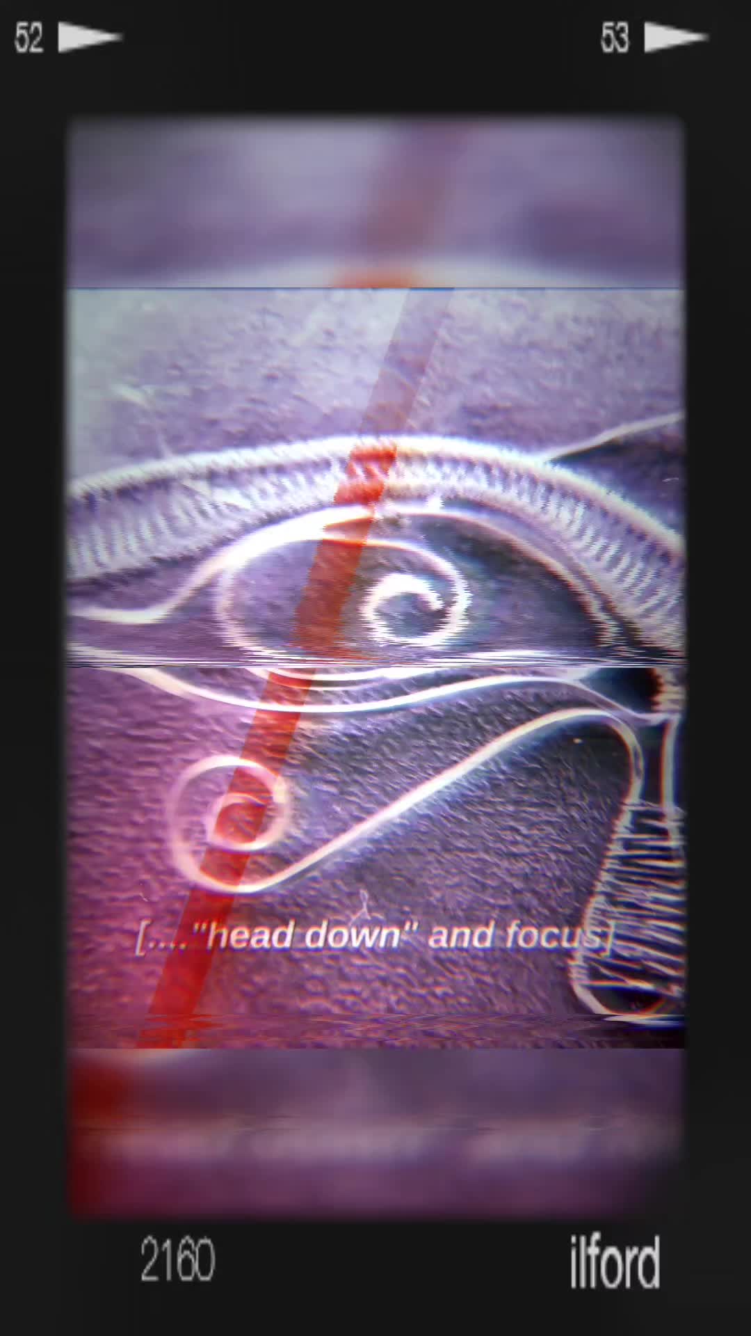 @𓆩𓃦𓆪 𝐒ḥ&auml; 𝐖𝐨𝐥𝐟  𓆩𓂀𓆪