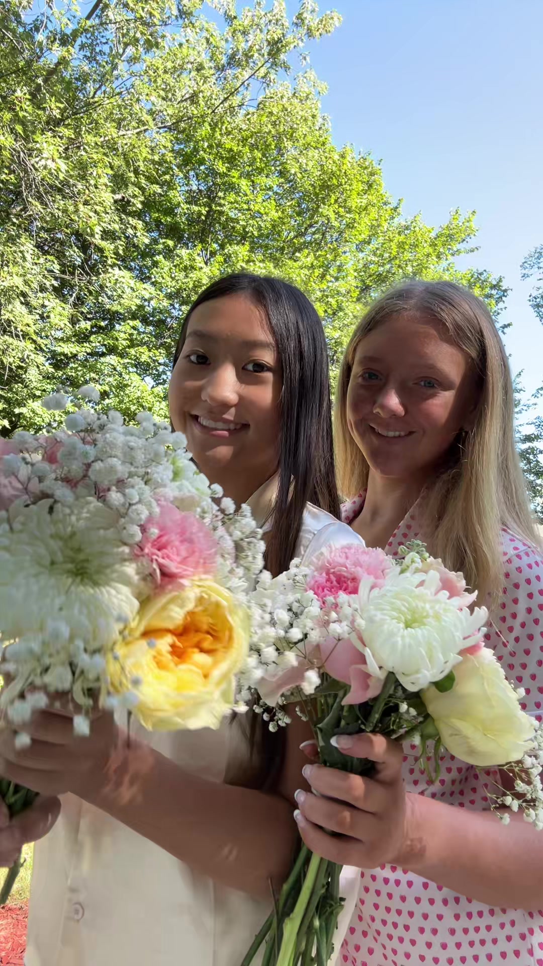 @Audrey Yang