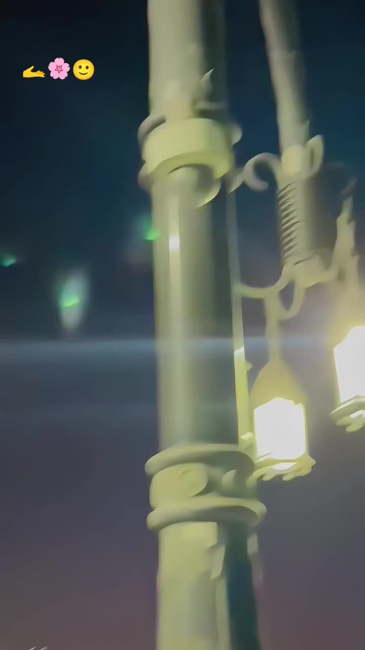 @🍁𝐒𝐡𝐚𝐧𝐢_نیازی🌸