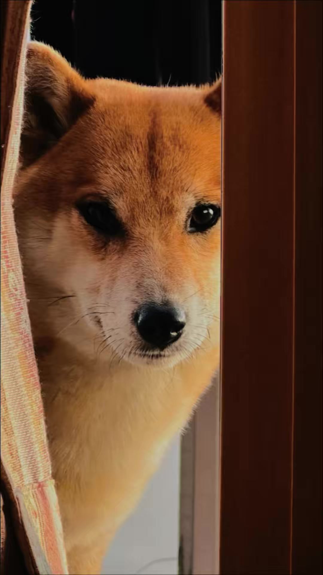 @ぐっ