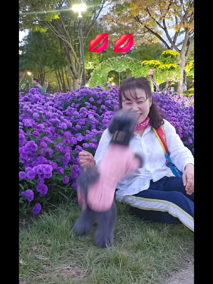 @복이🌲🌲🌲
