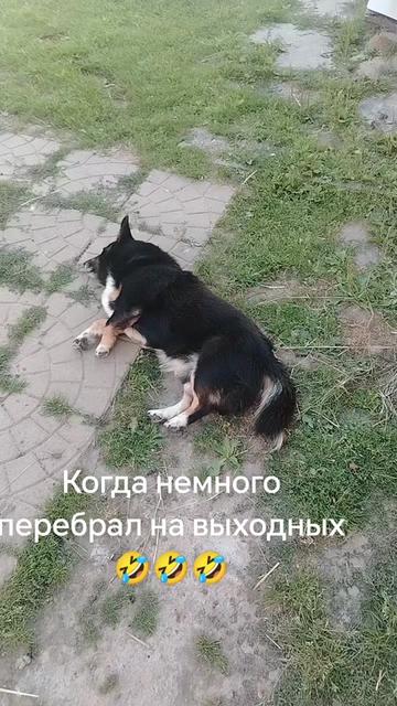 @Александр