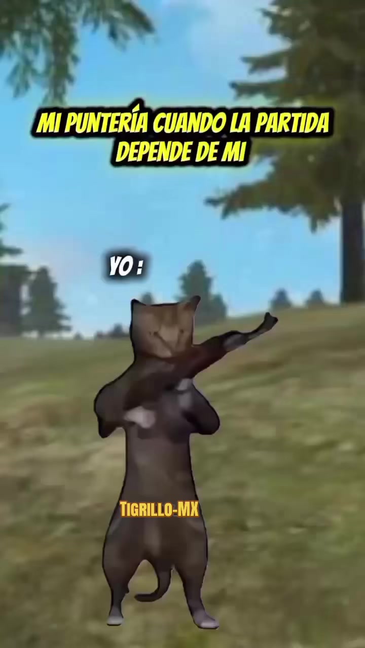 @tigrillo_mx
