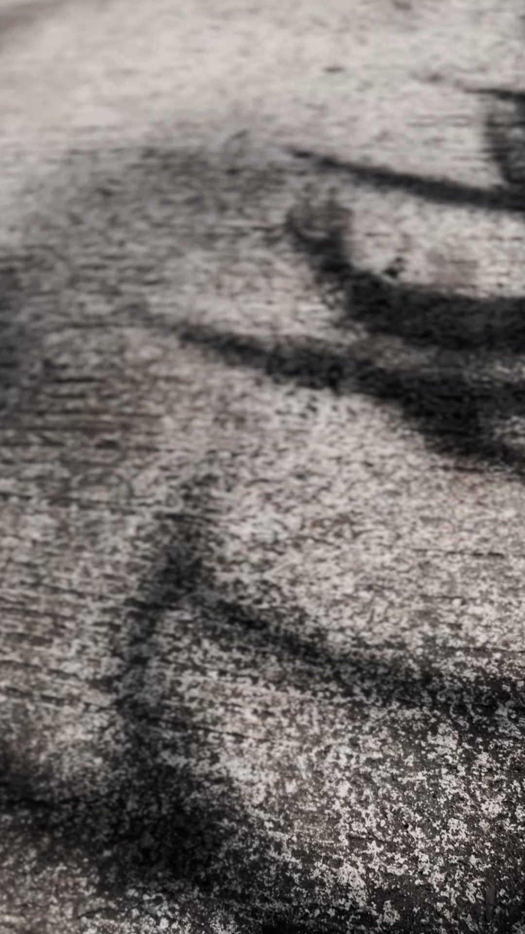 @🕷️J
