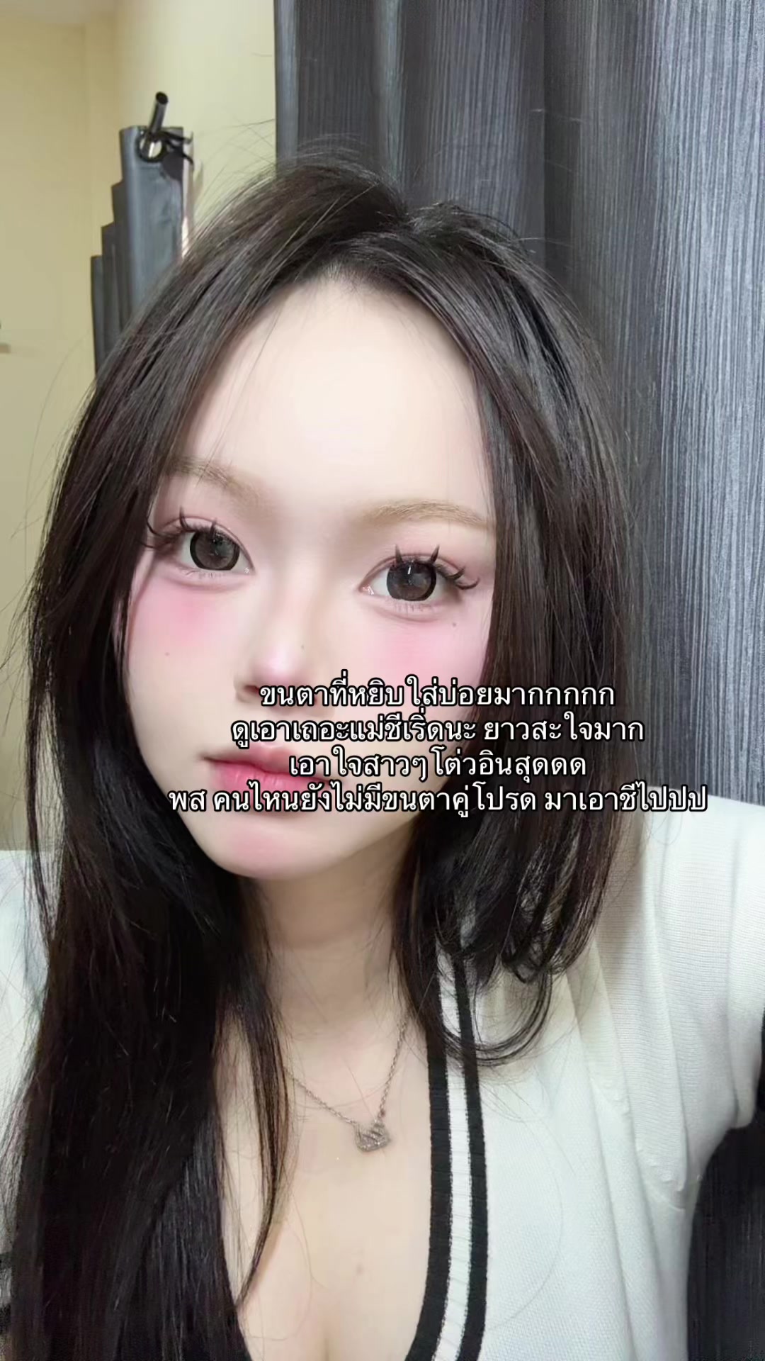 @แมวอ้วน