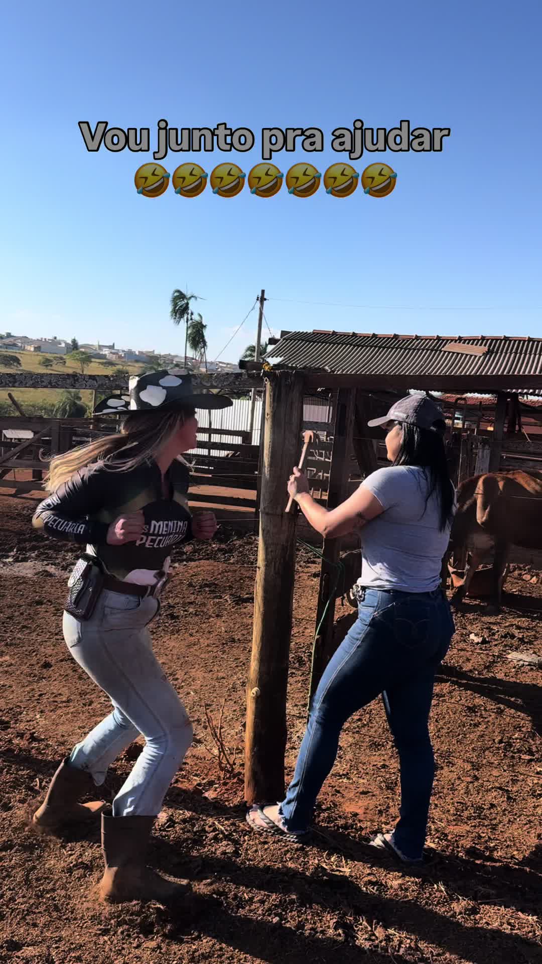 @Mariana_Fazendeira