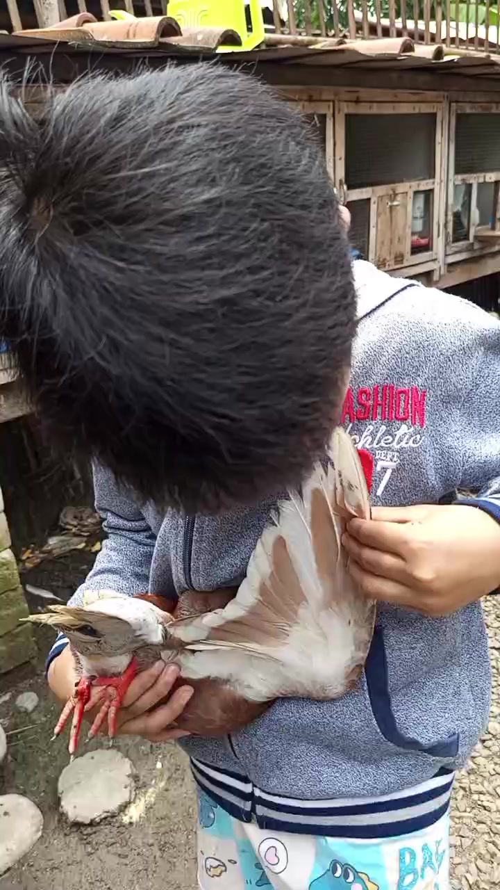 @Jose & putra si burung nakal