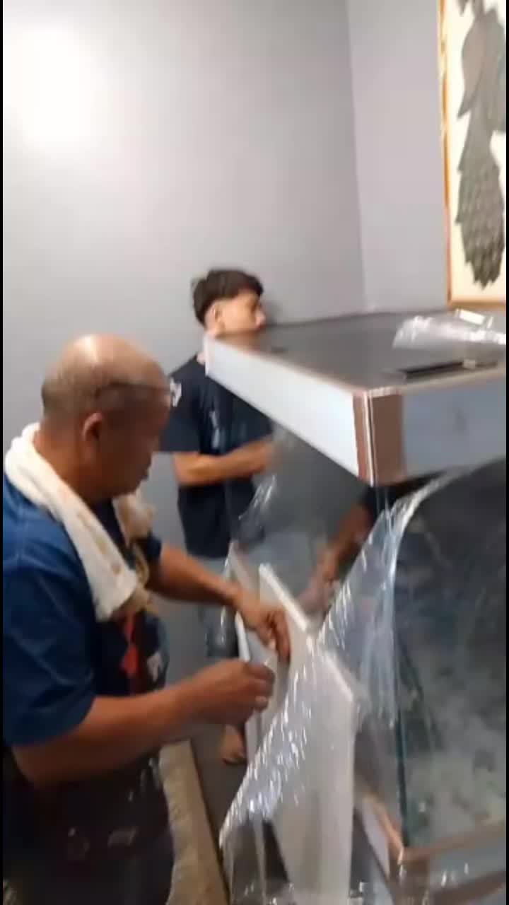 @Pearl Aquatics