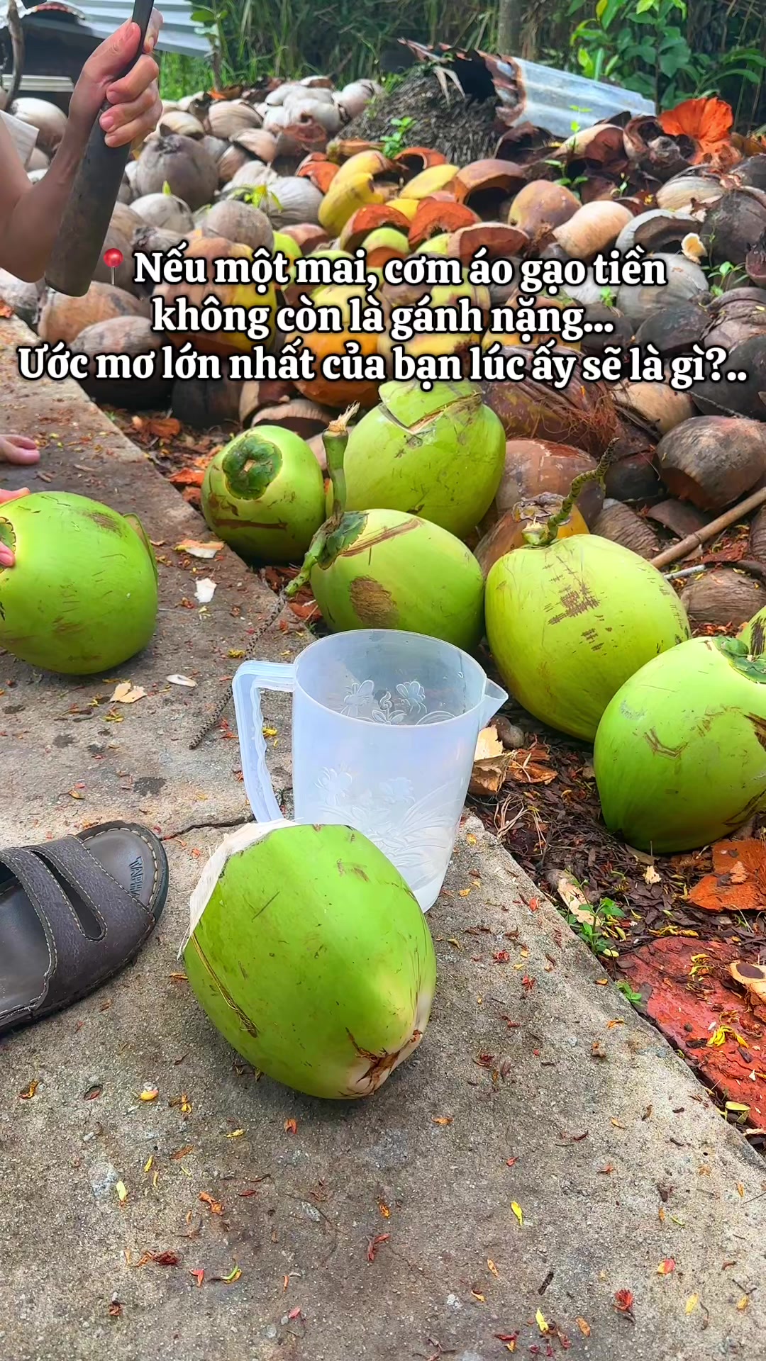 @D&acirc;u T&acirc;y 69