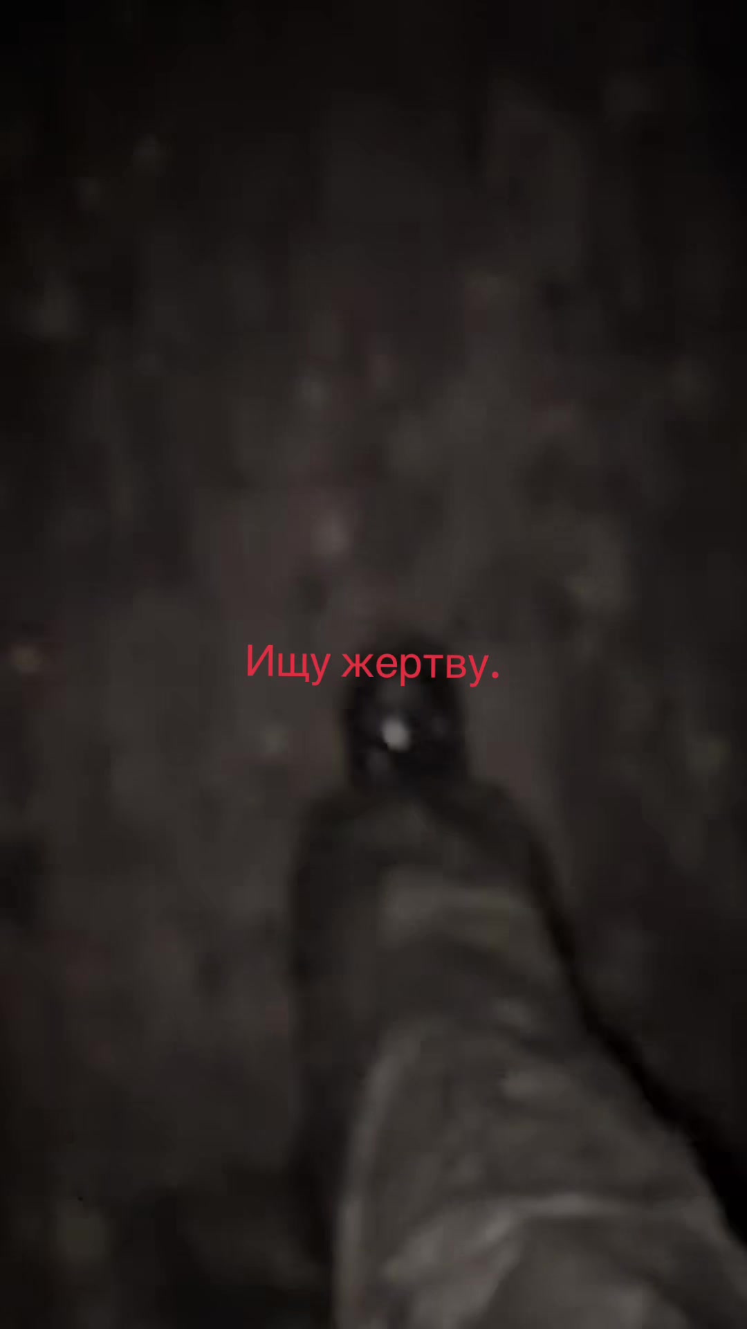 @Твой котёнок🐾