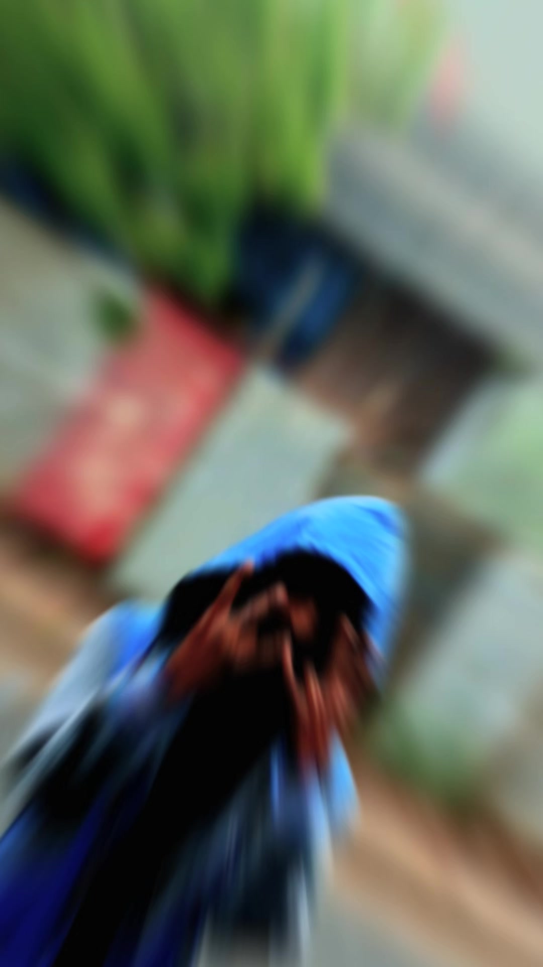 @๐.๐