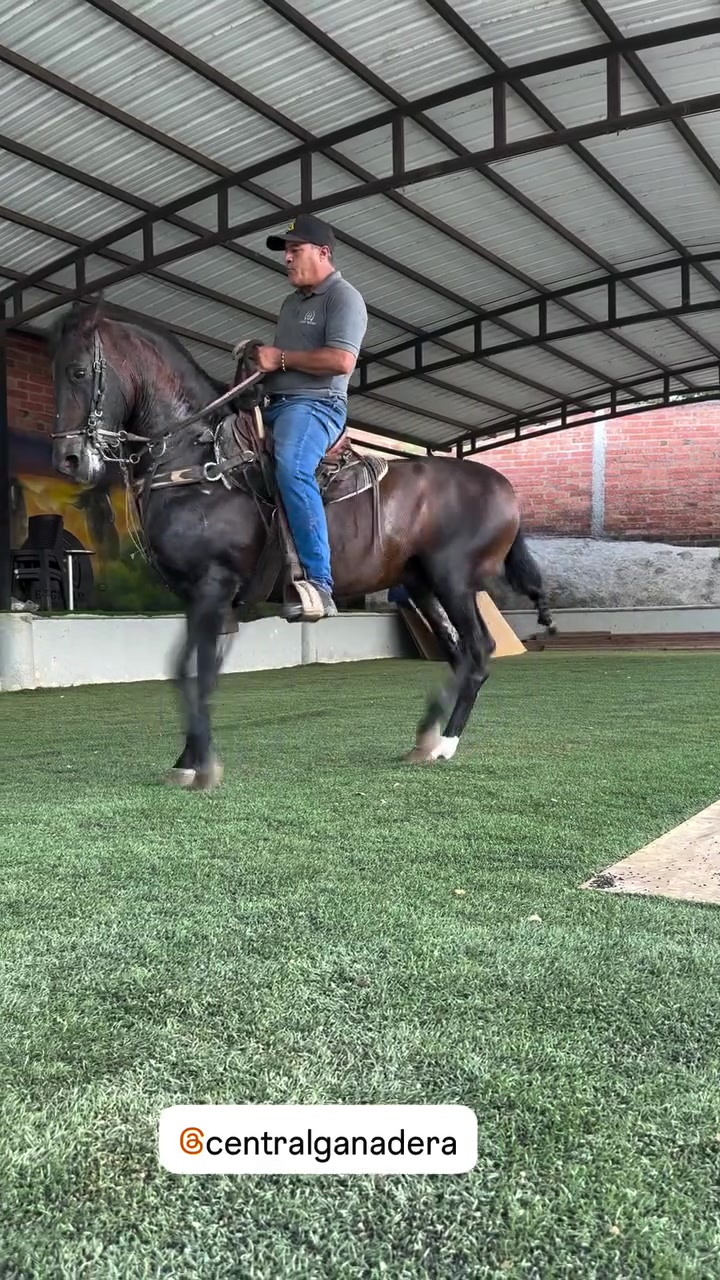 @alejandro.p.sierra✅