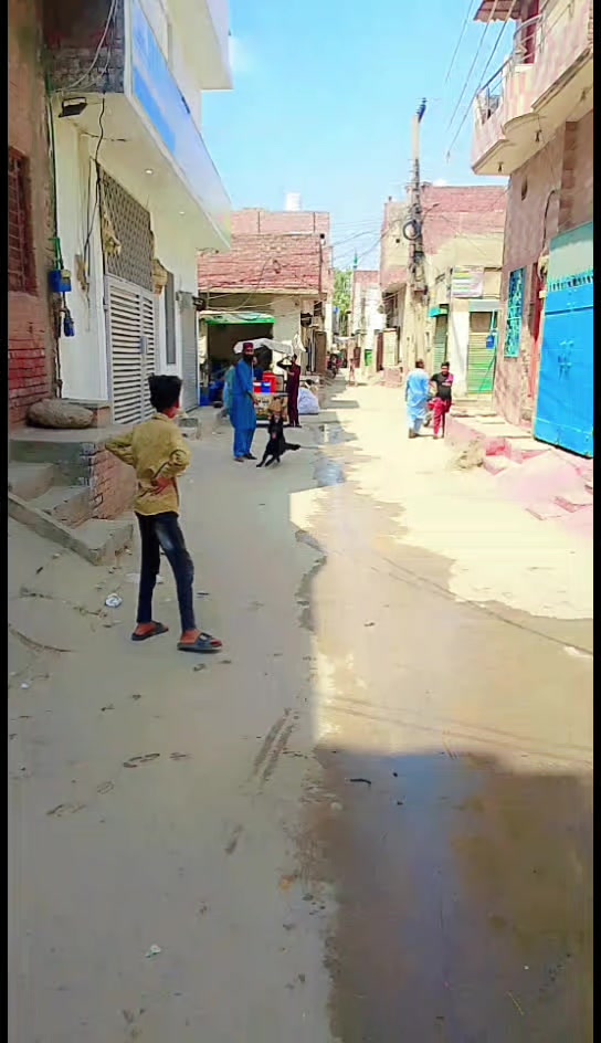 @Rana Jani