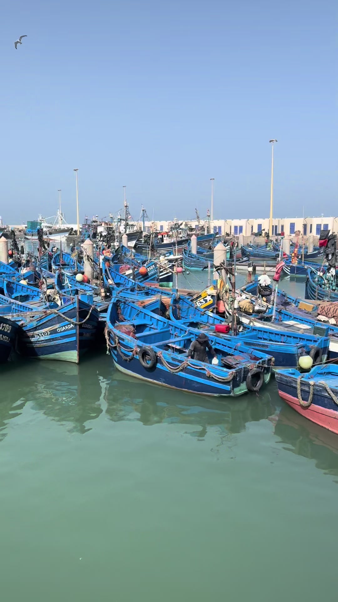 @www.treksmorocco.com
