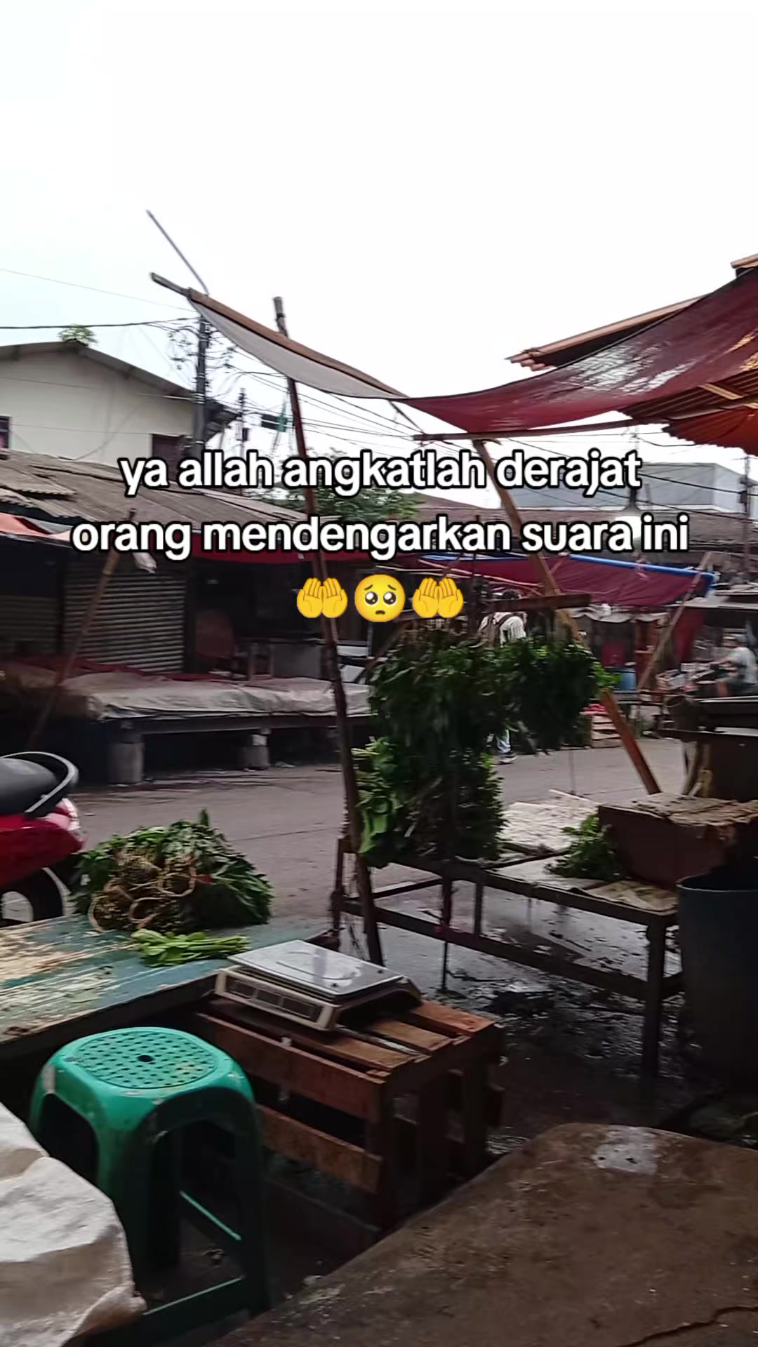 @Zayuran ajang