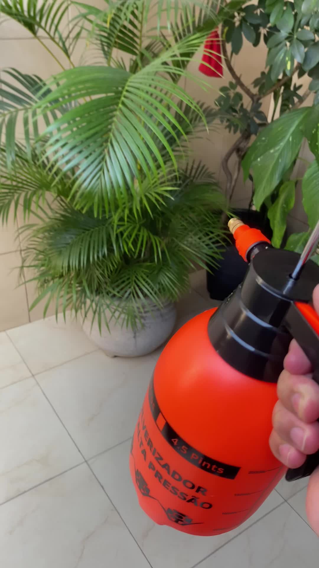 @Fábio
