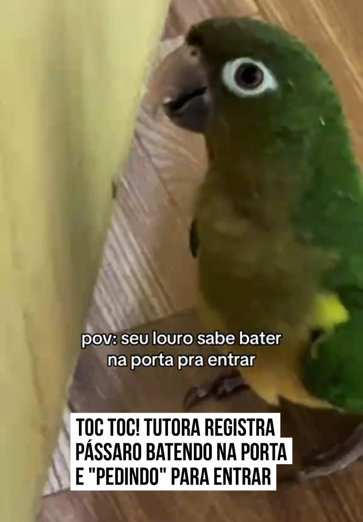 @Metr&oacute;poles Oficial