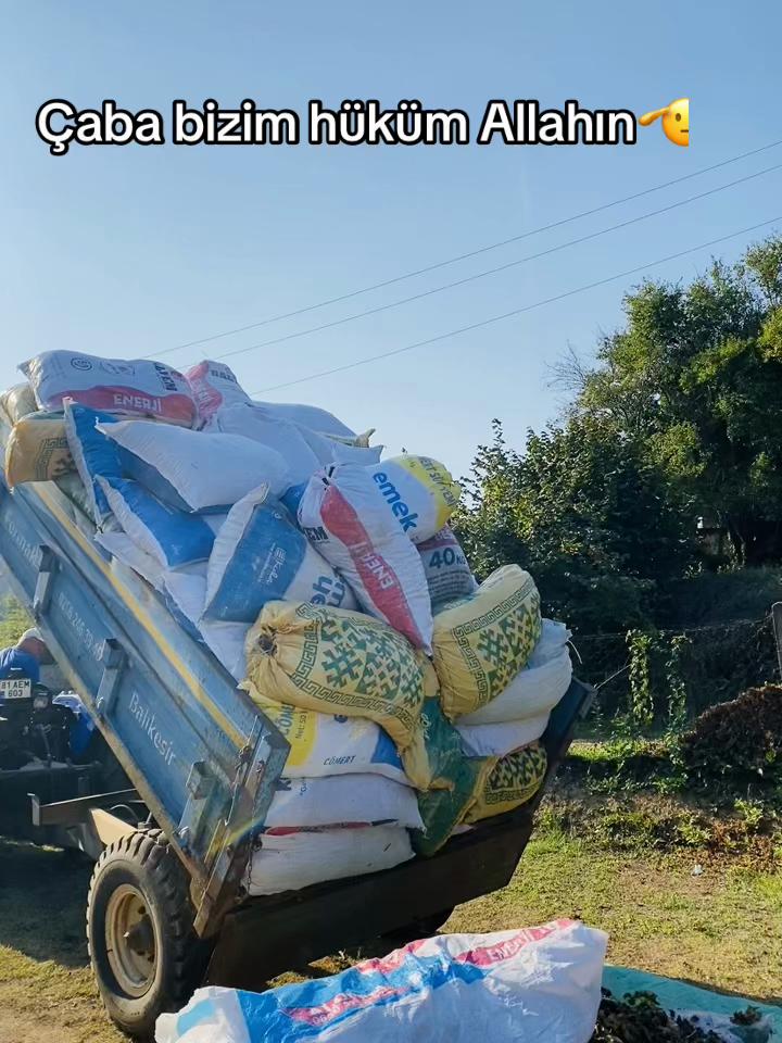 @ YORGUNREYİS: