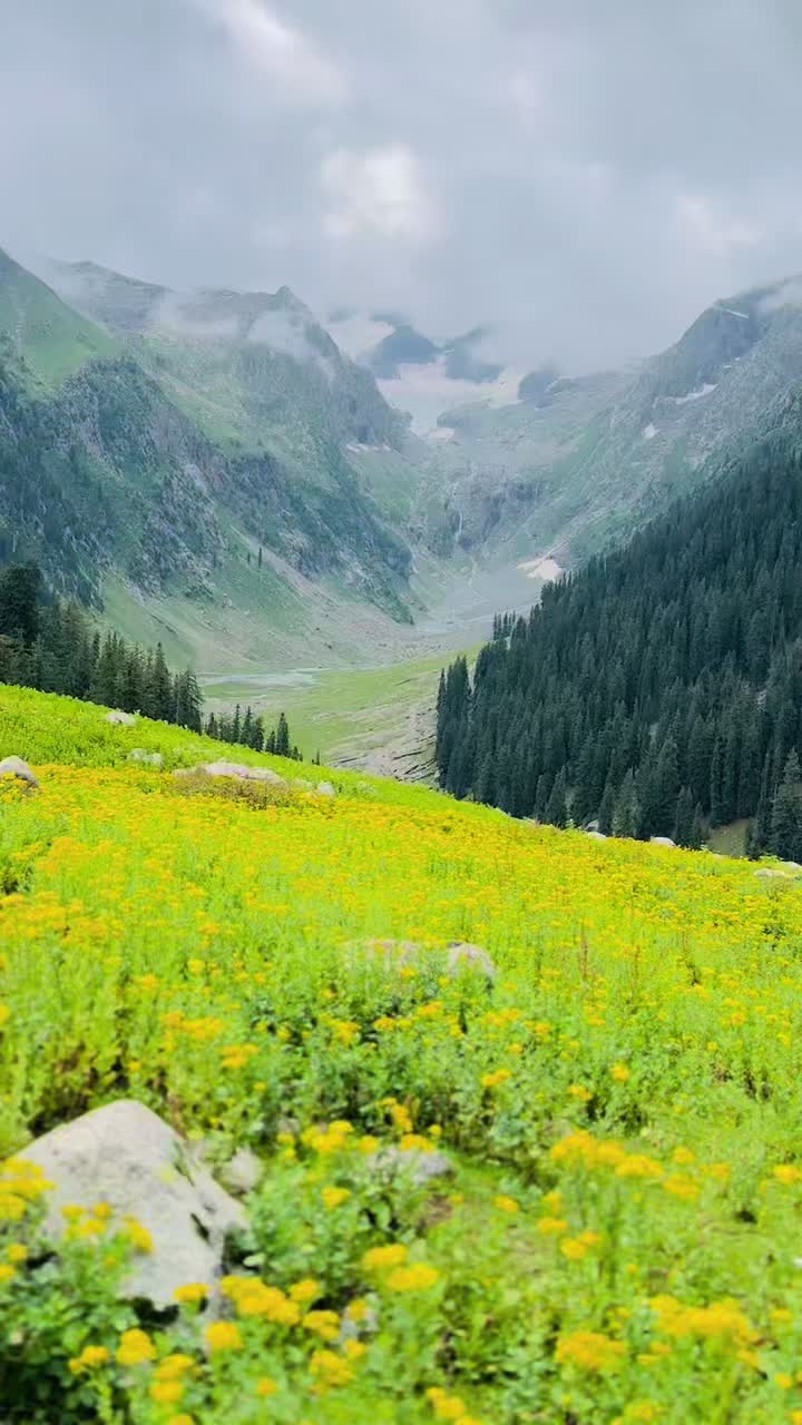 @صابر علي