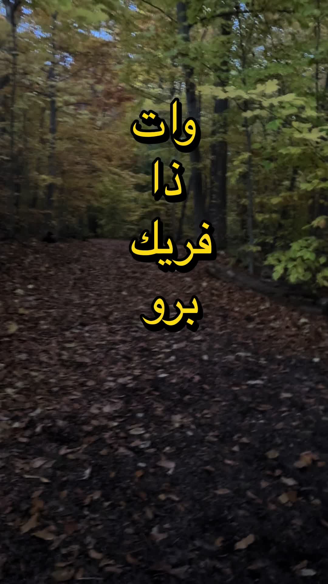 @Aboud 🍉
