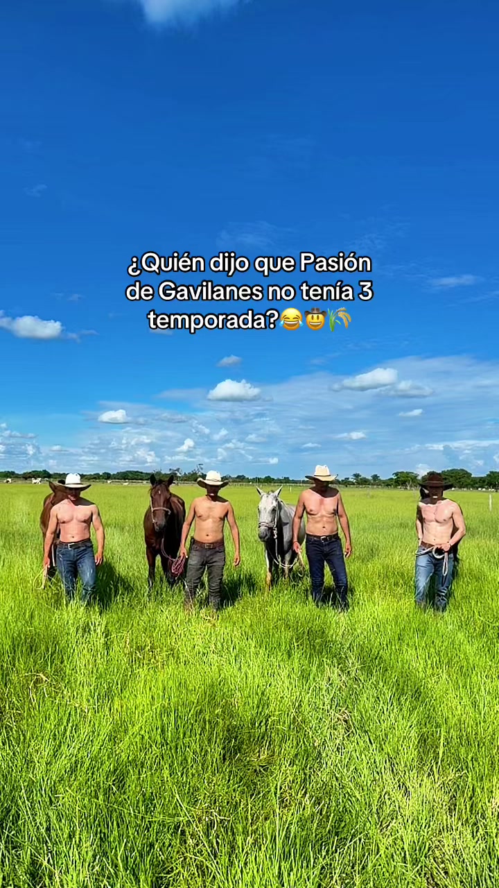 @Anibal Camelo