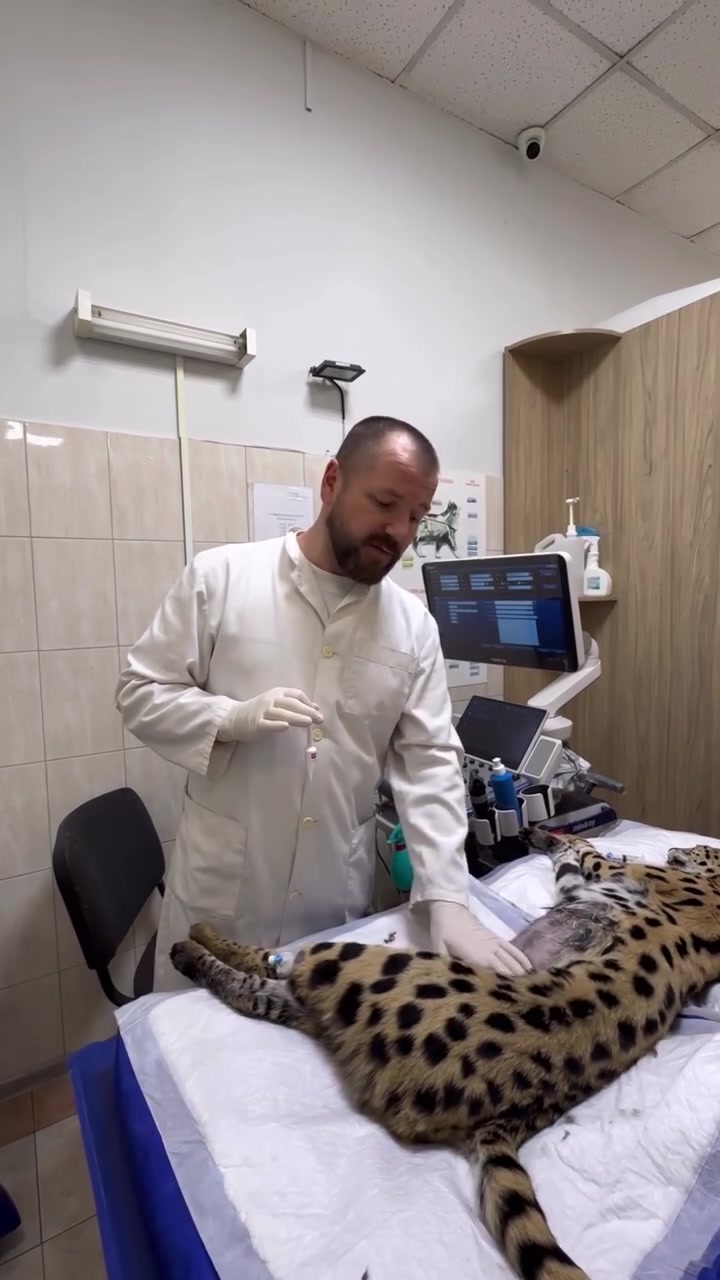 @doktor_vas