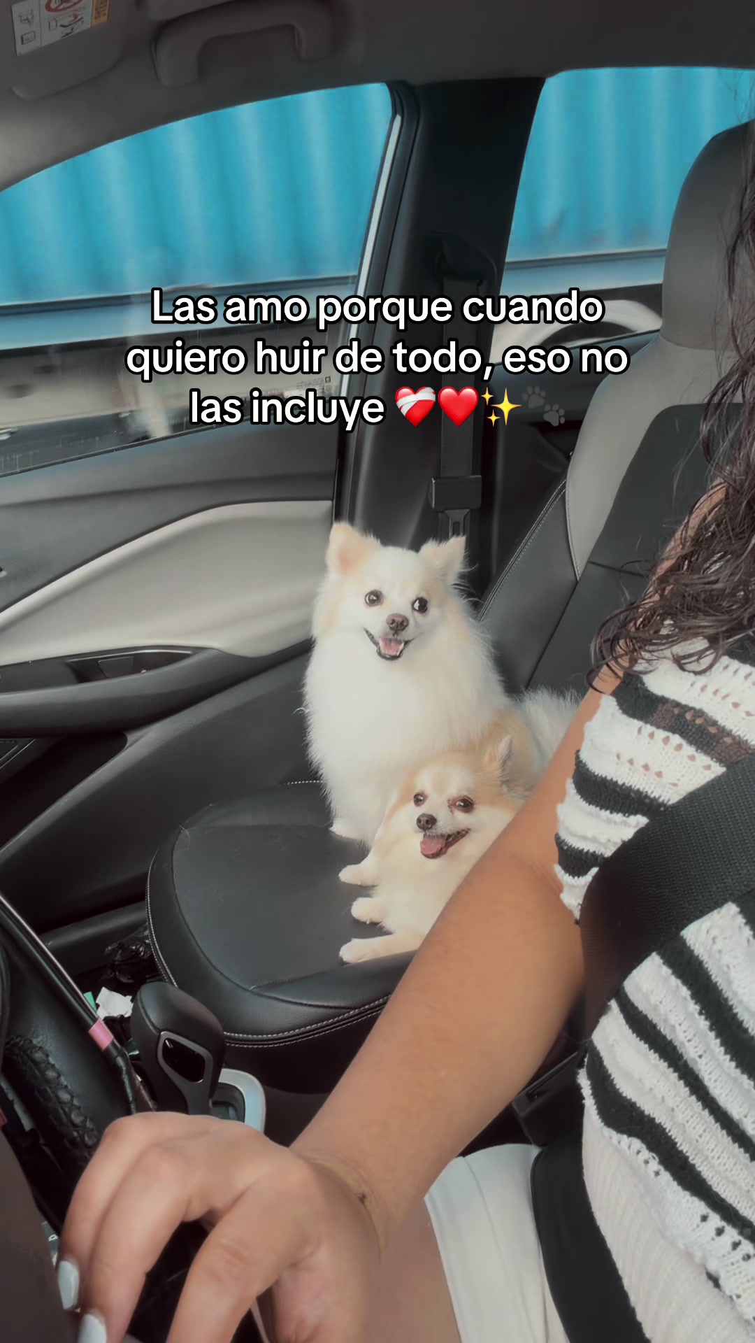@KEYLA MIÑO🌻