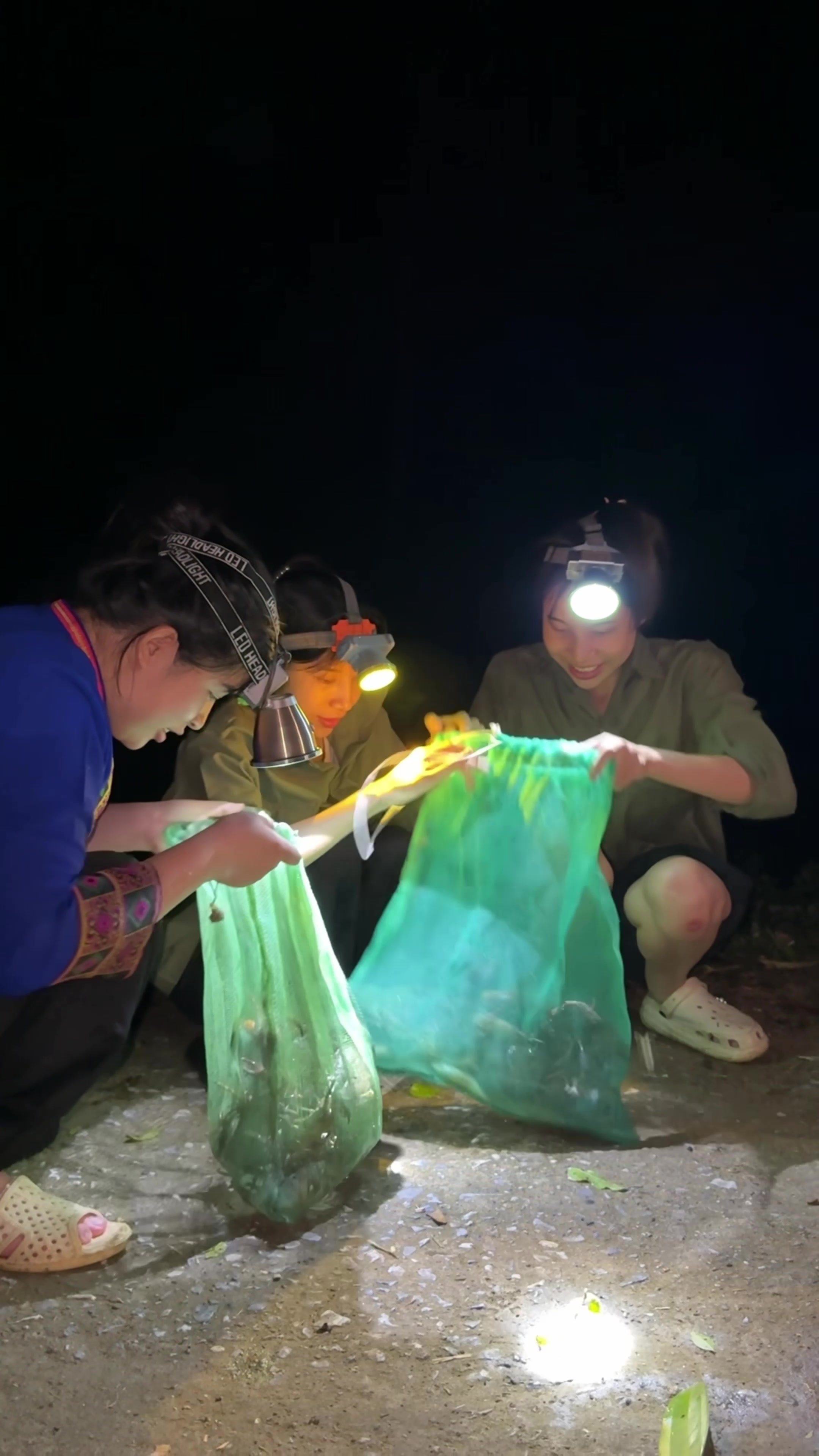 @Sức Tày