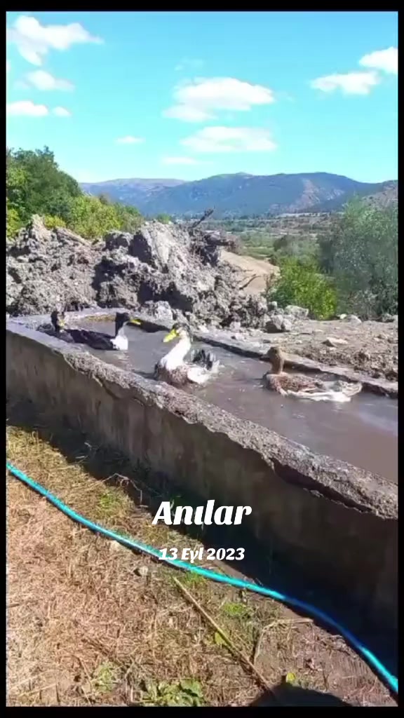 @Raşit
