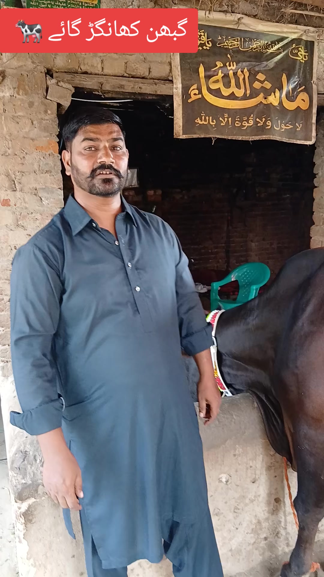 @Farming and Business Ideas